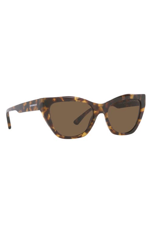 Emporio Armani 54mm Cat Eye Sunglasses In Brown