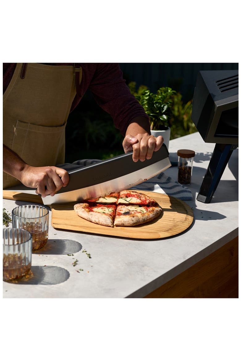 BBQ+ Stainless Steel Pizza Cutter, Alternate, color, STAINLESS STEEL