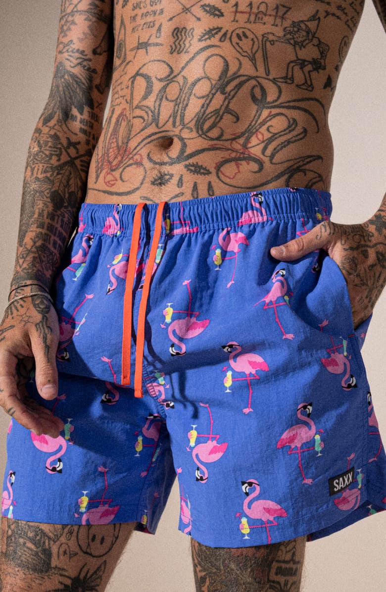 SAXX Go Coastal 2-in-1 Volley Swim Shorts, Alternate, color, 