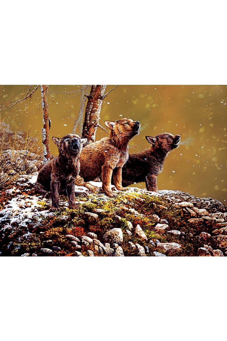 Nature's Song 500 piece Jigsaw Puzzle for Adults, Alternate, color, Multicolor