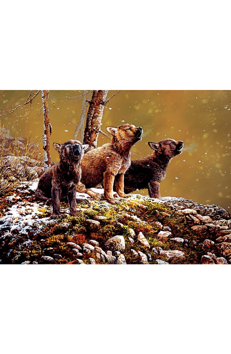 Sunsout Nature's Song 500 piece Jigsaw Puzzle for Adults, Alternate, color, Multicolor