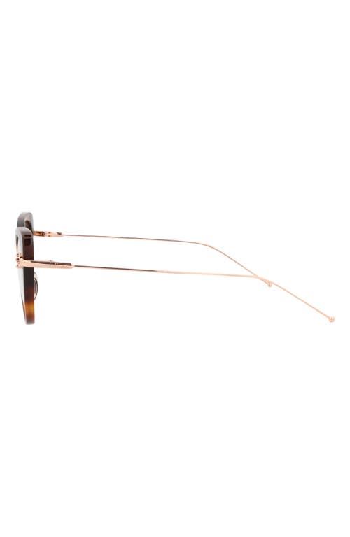 Pomellato Novelty 50mm Cat Eye Optical Glasses In Havana Gold Transparent