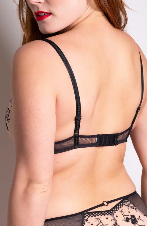 Passionata Suzy Underwire Embroidered Plunge Bra