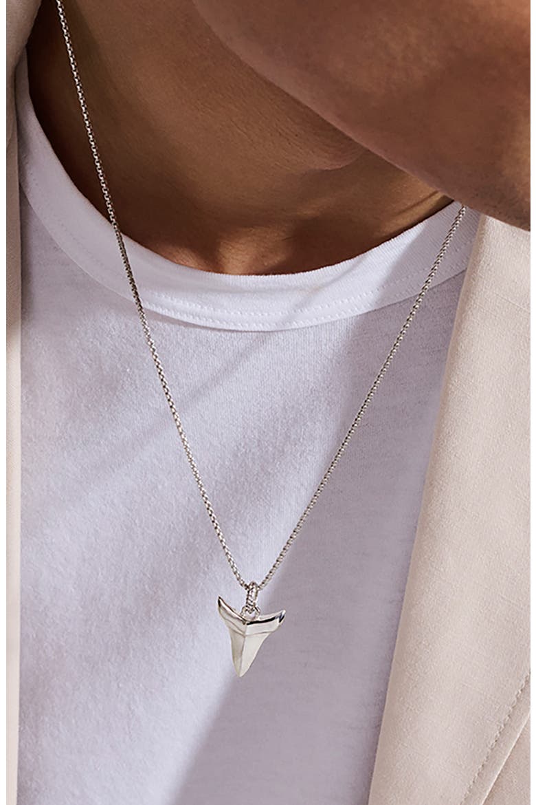 Modern Talismans Pendant Necklace, Alternate, color, SILVER