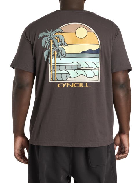 Big & Tall Glassy Days Graphic Tee