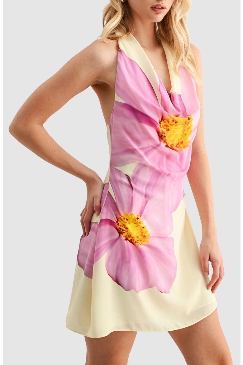 Floral Halter Minidress, Alternate, color, BUTTER ORCHID