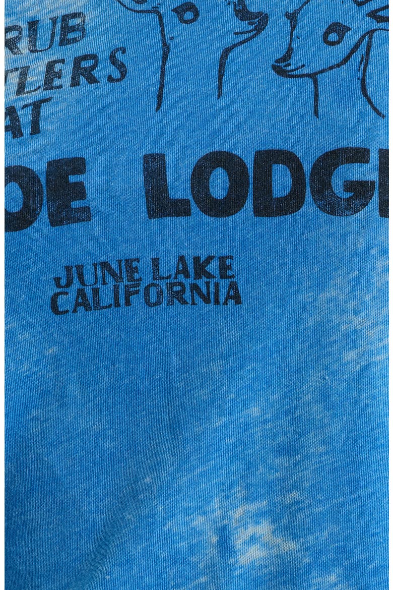 Doe Lodge Graphic Burnout Tee, Alternate, color, AZURE BLUE
