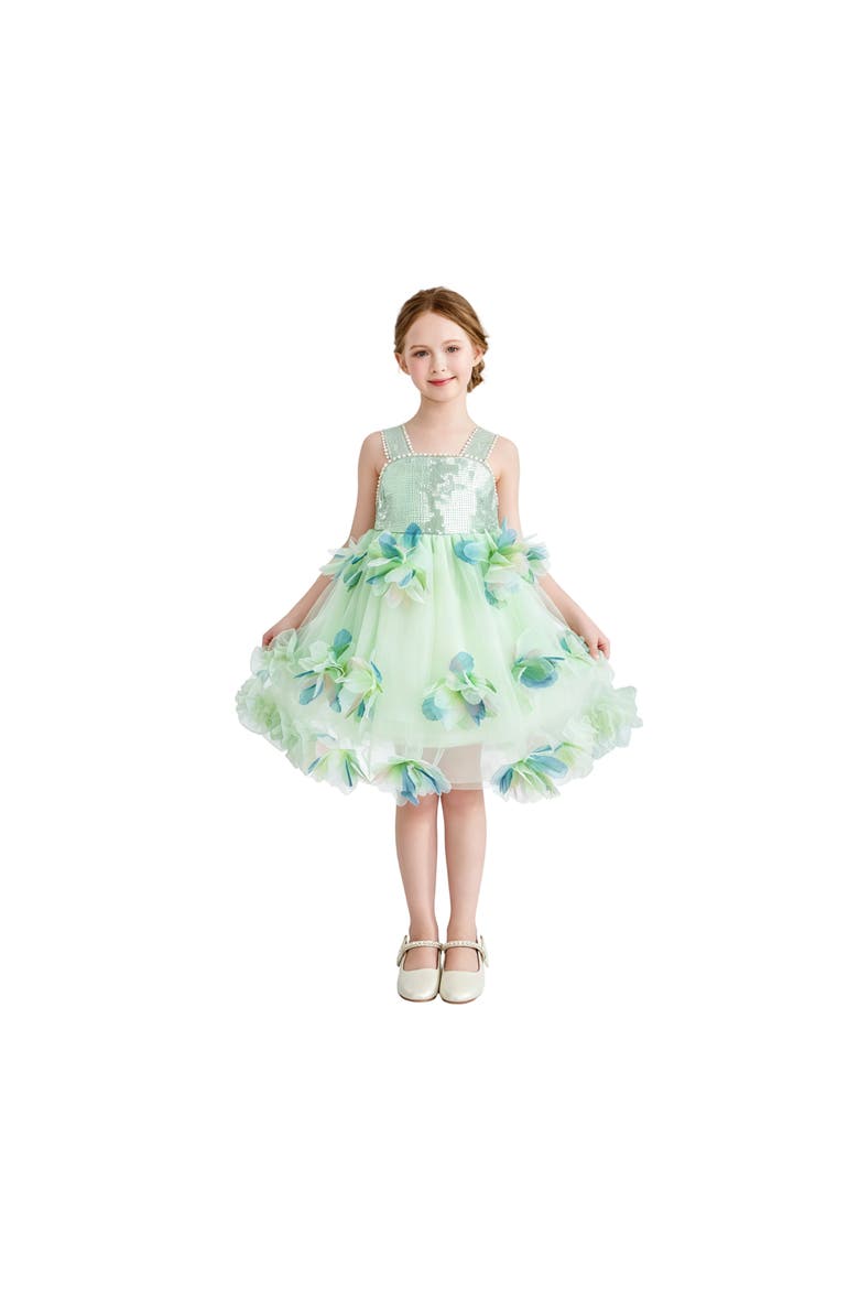 Sylvienne Sequin Floral Tulle Dress, Alternate, color, Mint