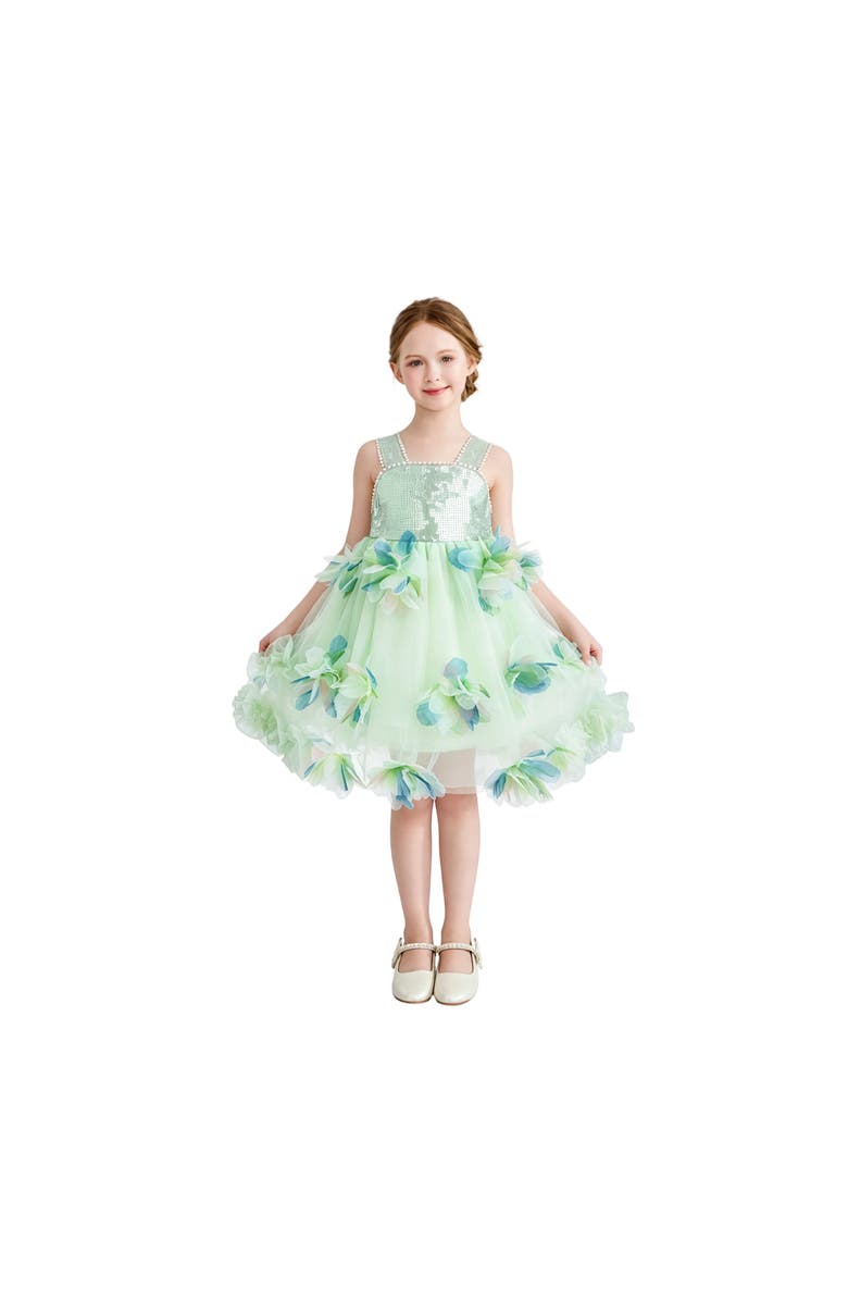 Mimi Tutu Sylvienne Sequin Floral Tulle Dress, Alternate, color, Mint