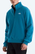 The North Face Evolution Quarter Zip