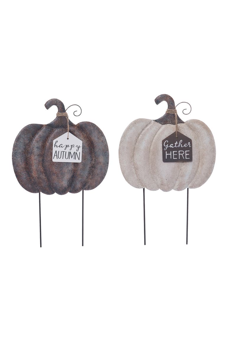 Metal Rustic Pumpkin Set of 2 Fall Harvest Home Decorations, Main, color, Brown