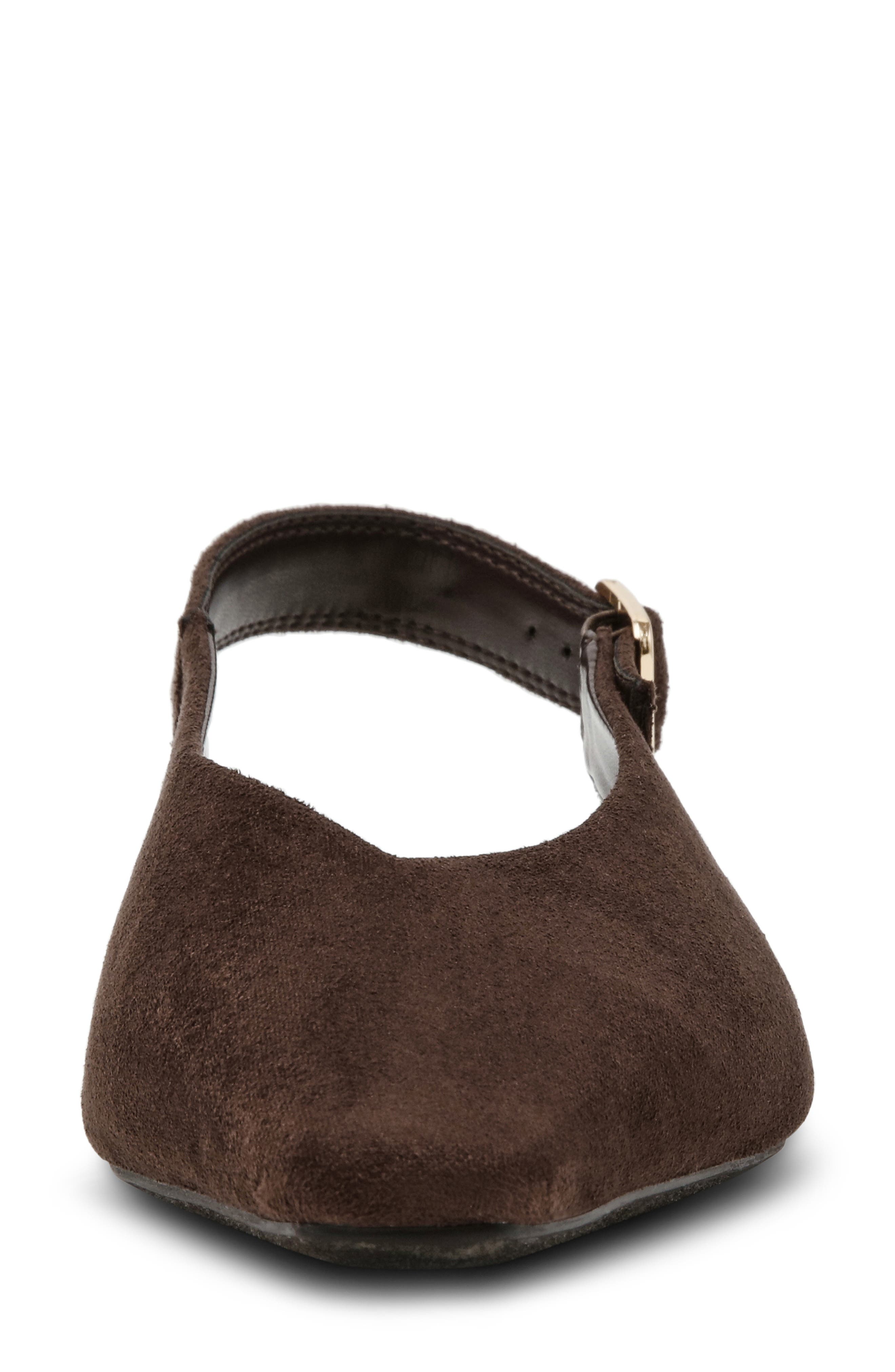 Renada Slingback Pointed Toe Flat, Alternate, color, BROWN