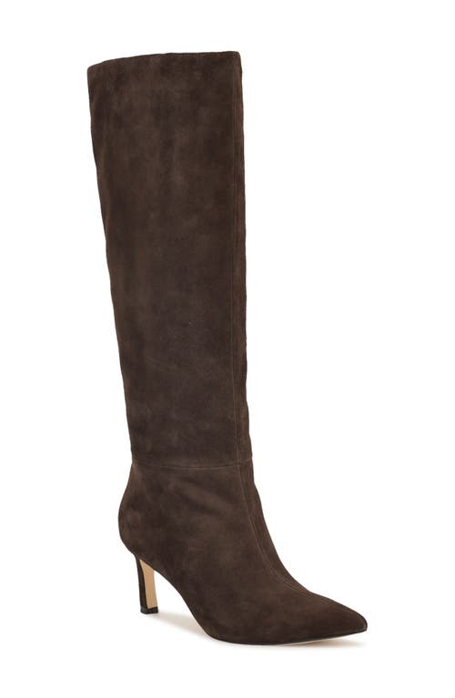 Nine West Lorthey Pointed Toe Knee High Boot In Brown