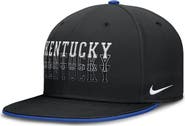 Nike Men's Nike  Black Kentucky Wildcats True Primetime Performance Fitted Hat
