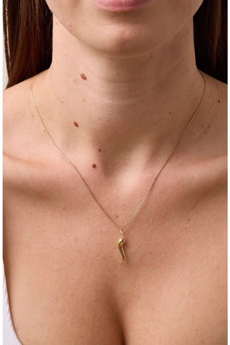 14K Gold Pendant Necklace (Nordstrom Exclusive), Alternate, color, 14K YELLOW GOLD