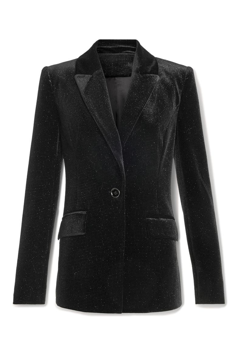 Echo Velvet Blazer, Alternate, color, BLACK