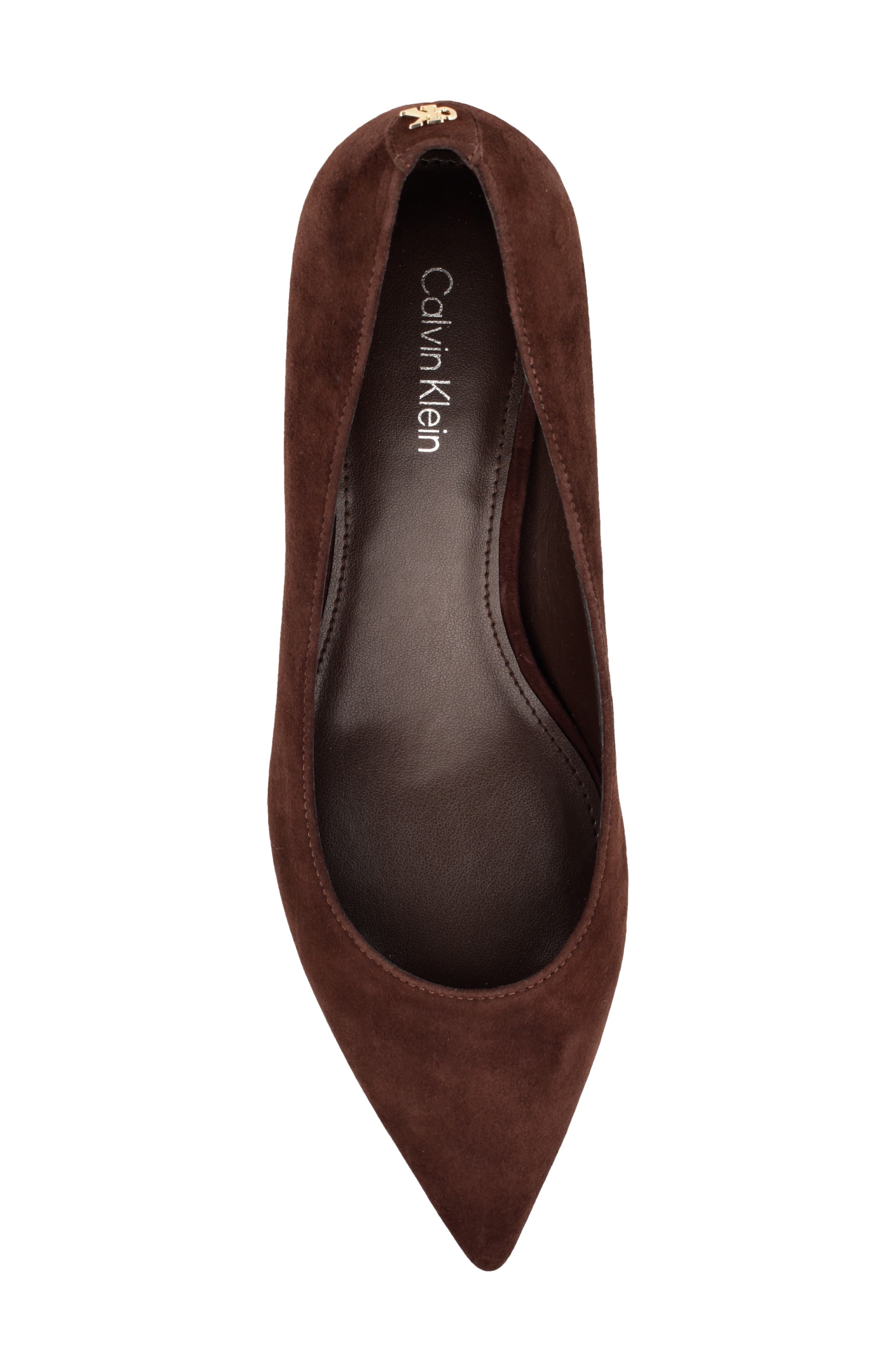 Roxanna Pointed Toe Pump, Alternate, color, DARK BROWN