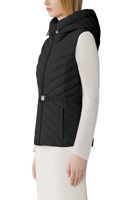 Soia & Kyo Estelle Water Resistant 700 Fill Power Hooded Down Vest In Black