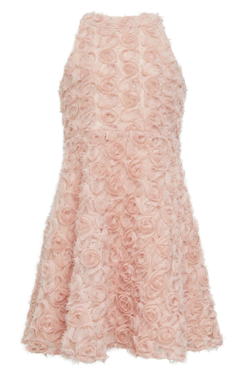 Bardot Junior Kids' Lizelle Rosette Embroidered Lace Dress, Main, color, 