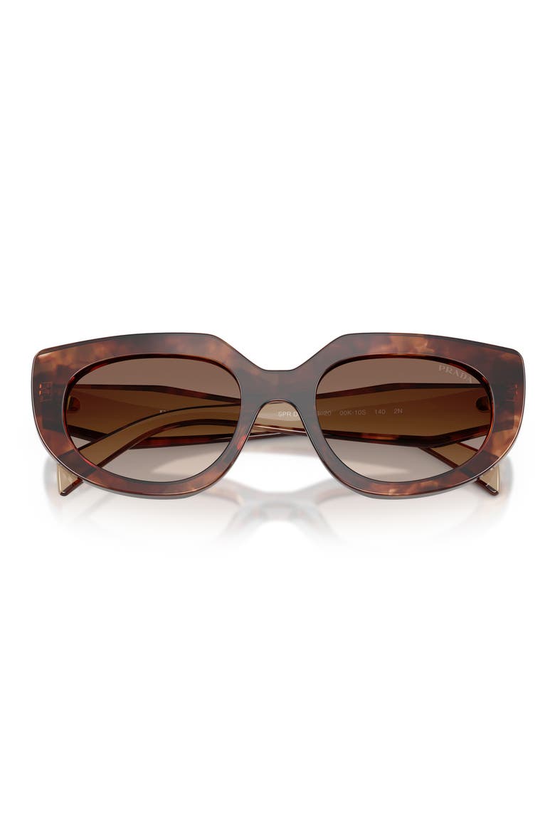 53mm Oval Sunglasses, Alternate, color, TORTOISE/ BROWN