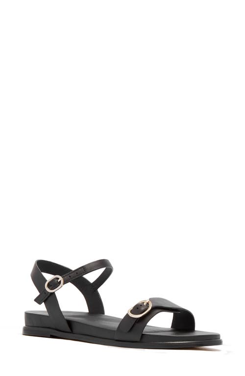 Frankie4 Bree Ankle Strap Sandal In Black