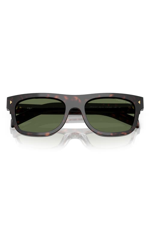 Prada Acetate Prb12s Sunglasses In 17n20g55 Brown Tort