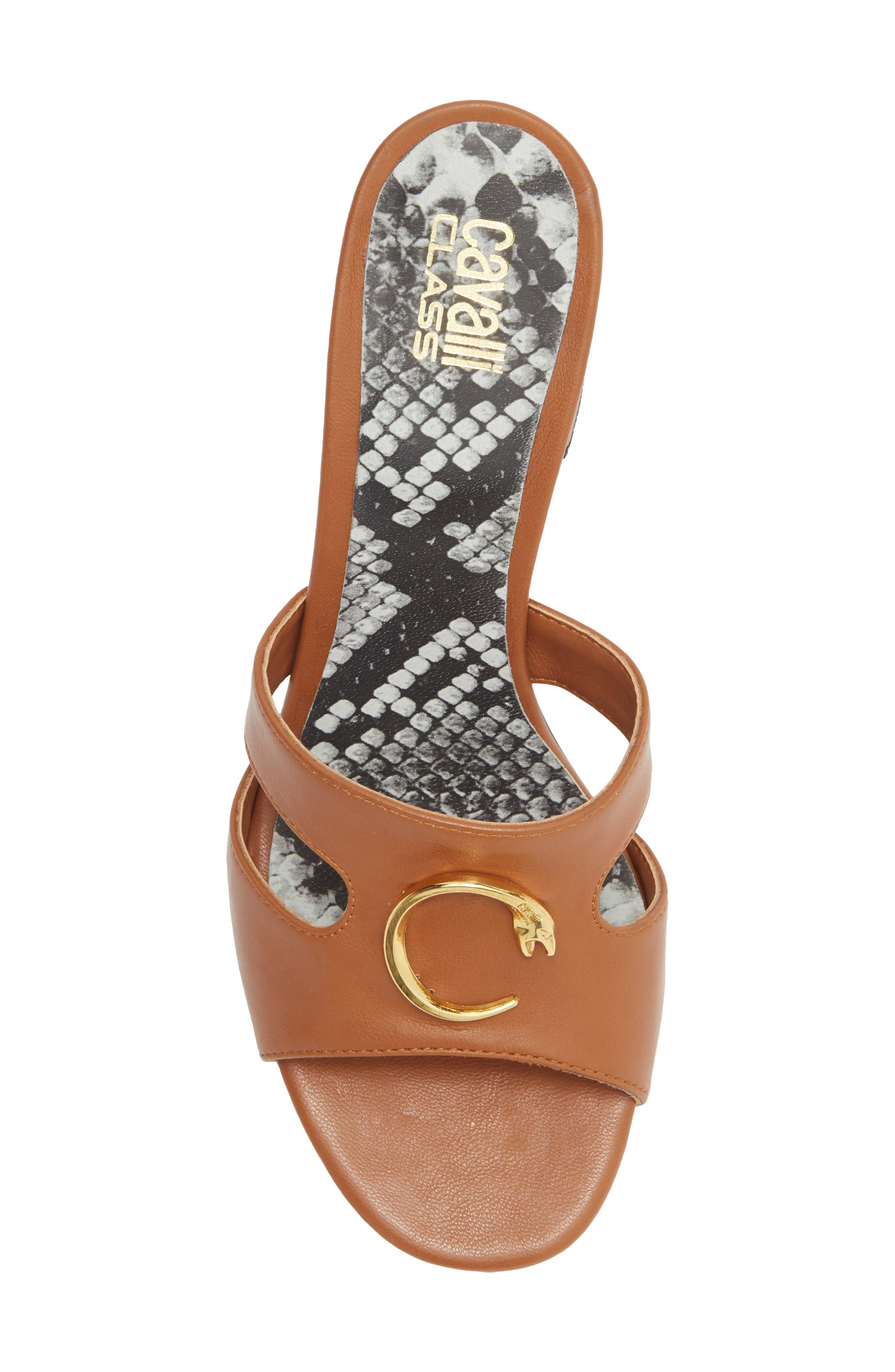 Roberto Cavalli Block Heel Slide Sandal, Alternate, color, Tan