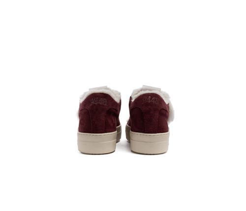 P448 Thea Venice Platform Sneaker In Burgundy