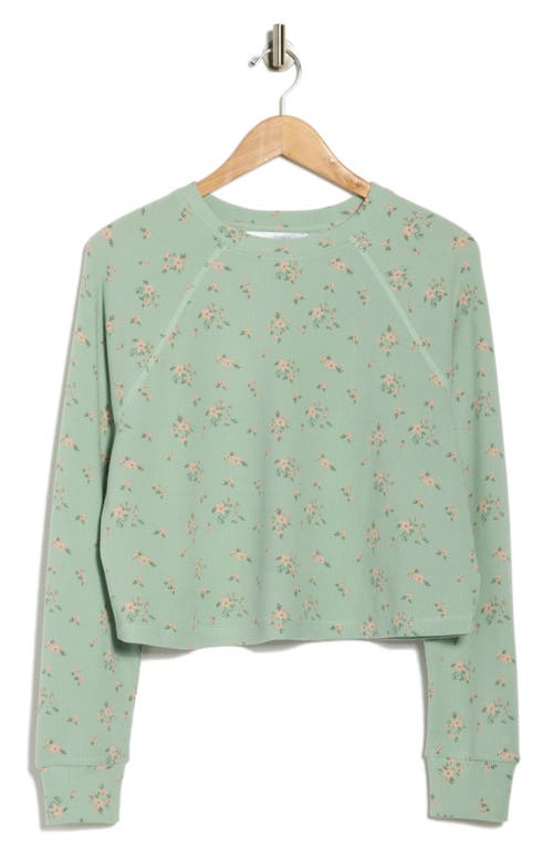 Honeydew Road Trip Long Sleeve Crop Pajama Top In Blue