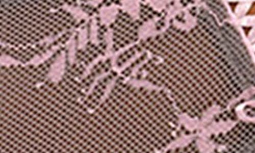 Freya Offbeat Decadence Galloon Lace Briefs In Brown