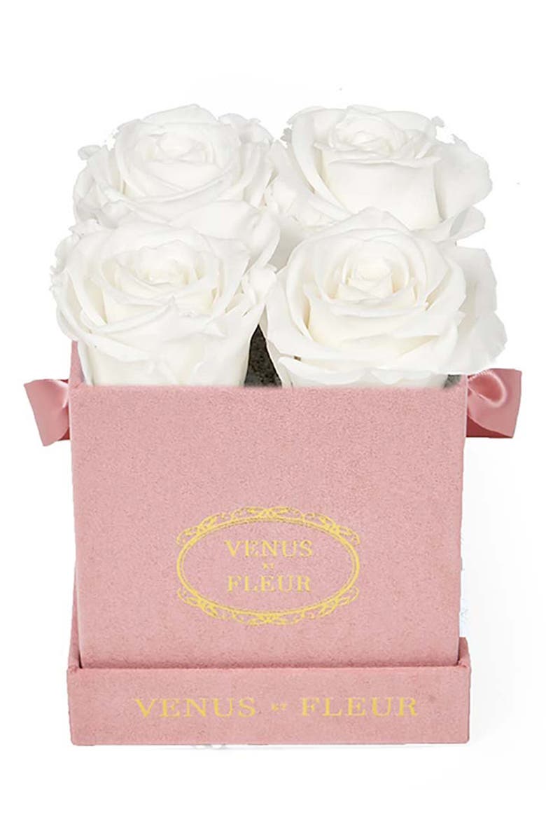 Venus ET Fleur Classic Le Petit Eternity Roses, Main, color, 