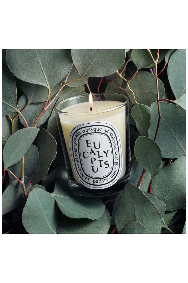 Eucalyptus Scented Candle, Alternate, color, NO COLOR