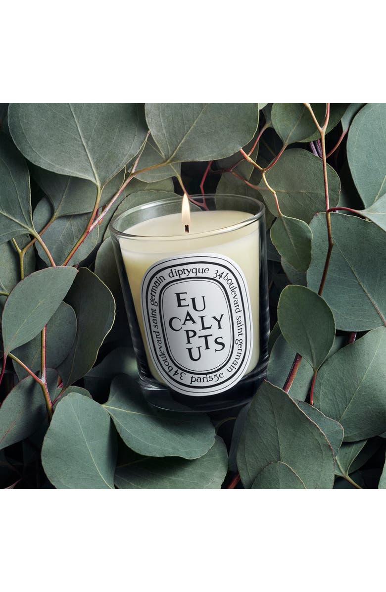 Diptyque Eucalyptus Scented Candle, Alternate, color, 
