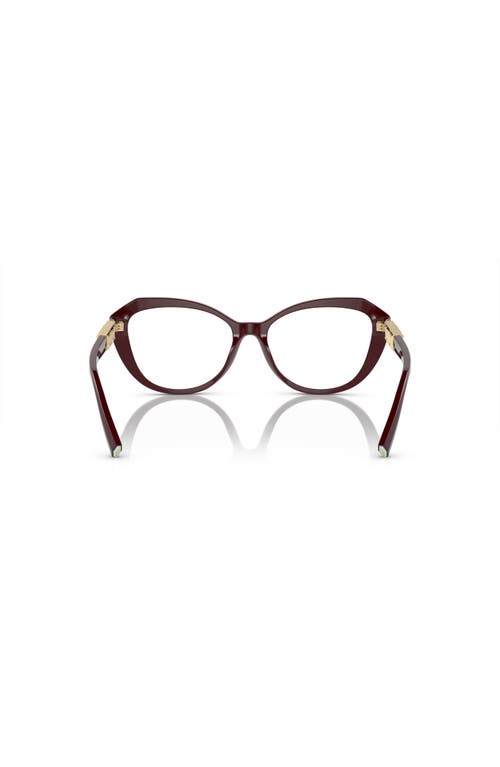 Tiffany & Co . 54mm Cat Eye Optical Glasses In Brown