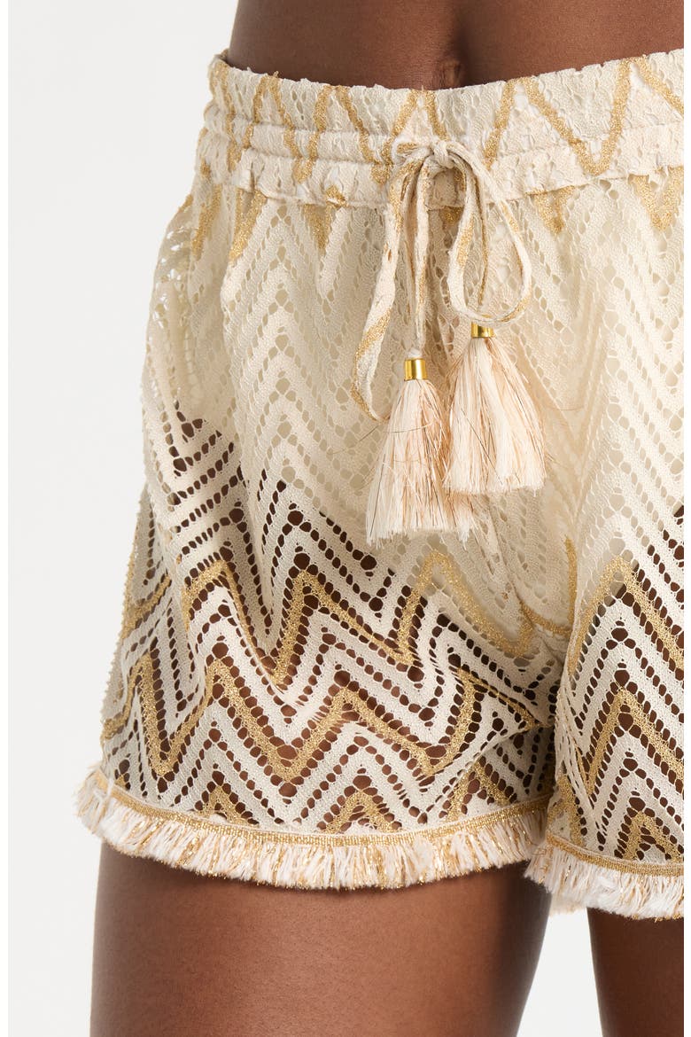 Chevron Duke Drawstring Cover-Up Shorts, Alternate, color, SANDSTONE CHEVRON