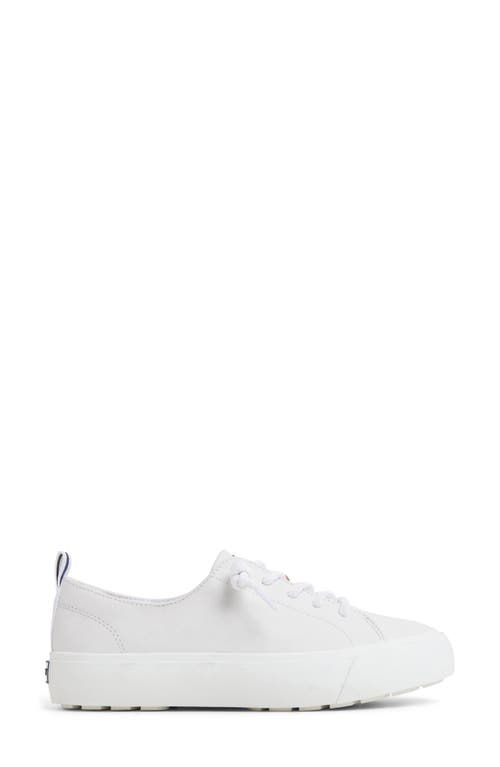 Sperry Top-sider® Cove Lace-to-toe Sneaker In White