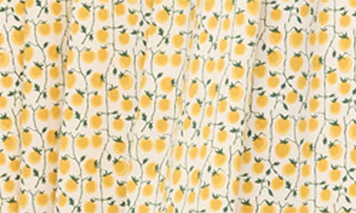 Staud Dena Floral Cotton Maxi Dress