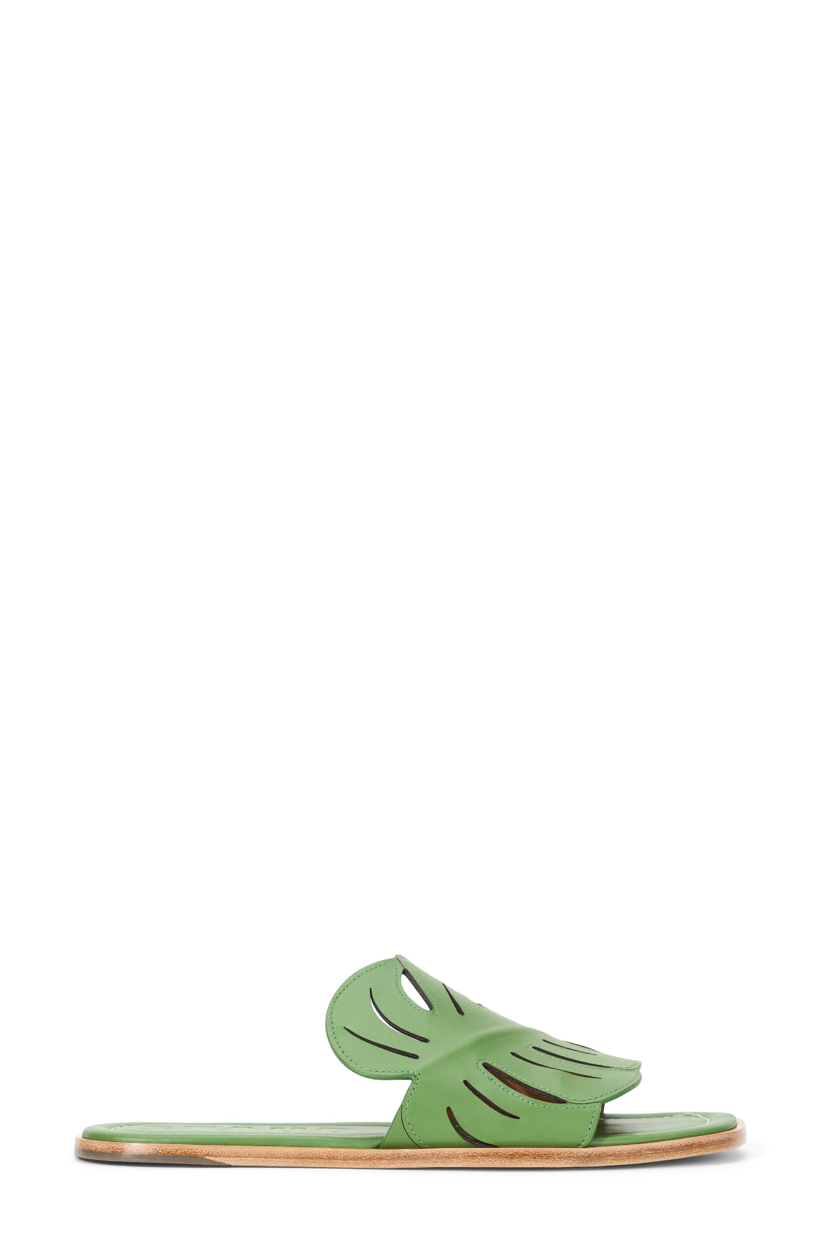 Palm Slide Sandal, Alternate, color, LEAF