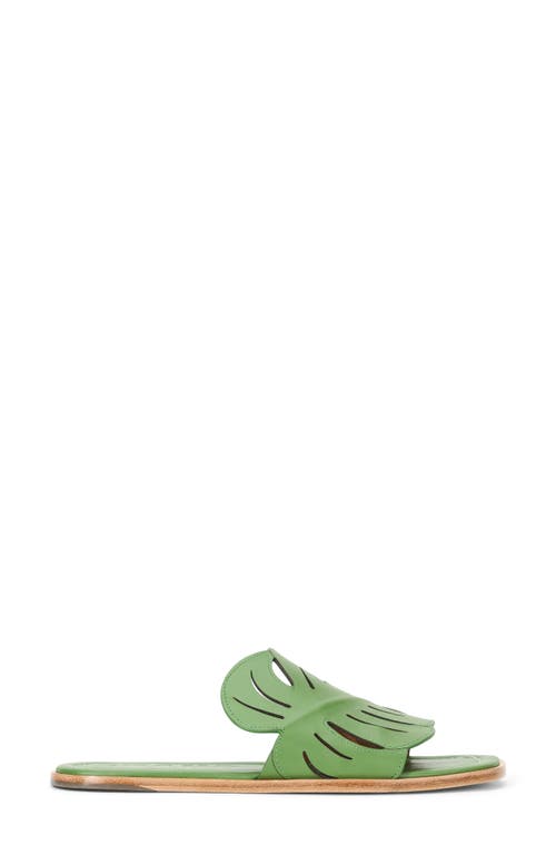 Staud Palm Slide Sandal In Leaf