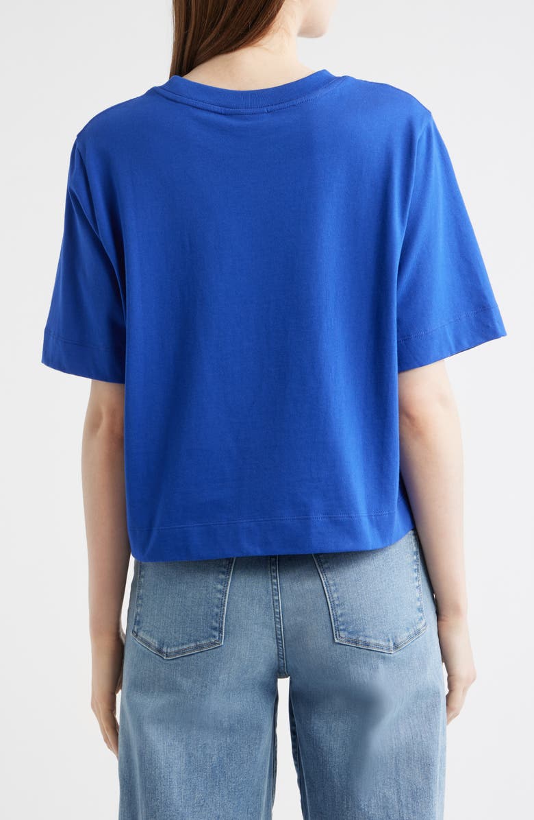 FARM Rio Bike Birds Graphic Boxy T-Shirt, Alternate, color, 