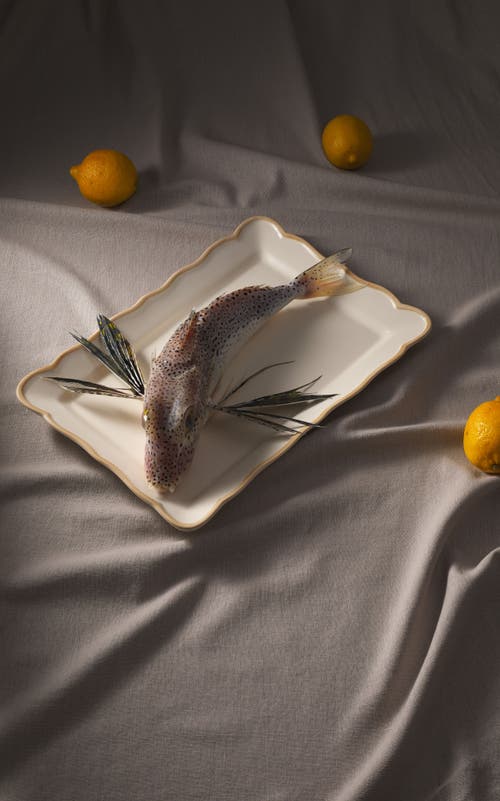 Maison Madison Home Rectangular Platter 15,4'' X 11'' In Colette