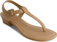 Bernardo Goya T-Strap Sandal