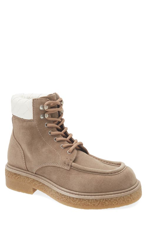Bottega Veneta Suede Haddock Lace-up Boots In Driftwood/white
