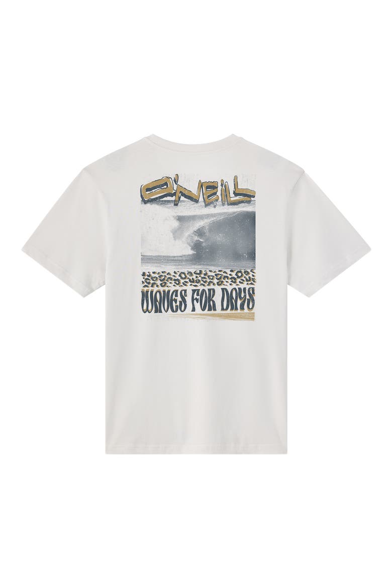 Bomb It Graphic T-Shirt, Alternate, color, ASH