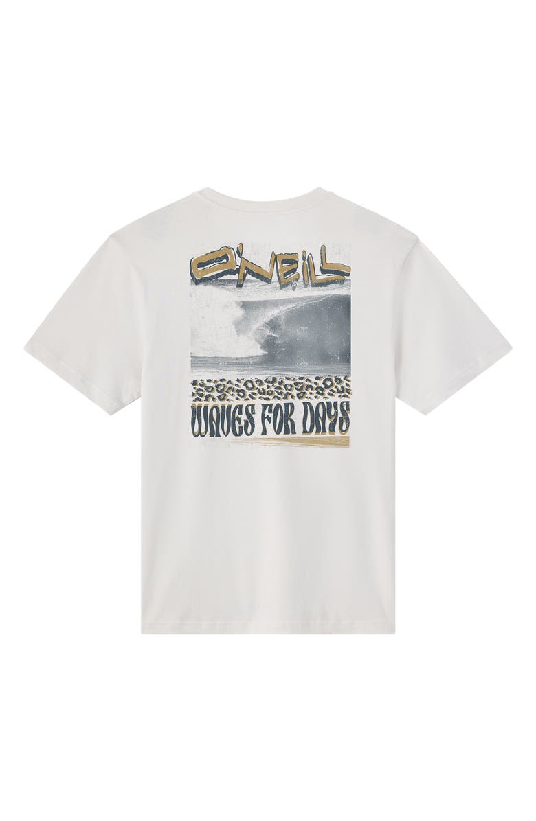 O'Neill Bomb It Graphic T-Shirt, Alternate, color, 