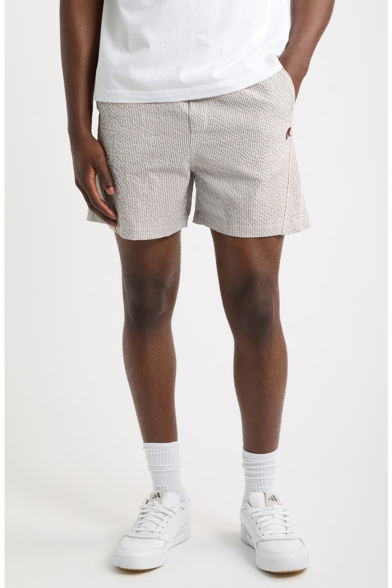 Valero Shorts, Main, color, TAUPE MULTI
