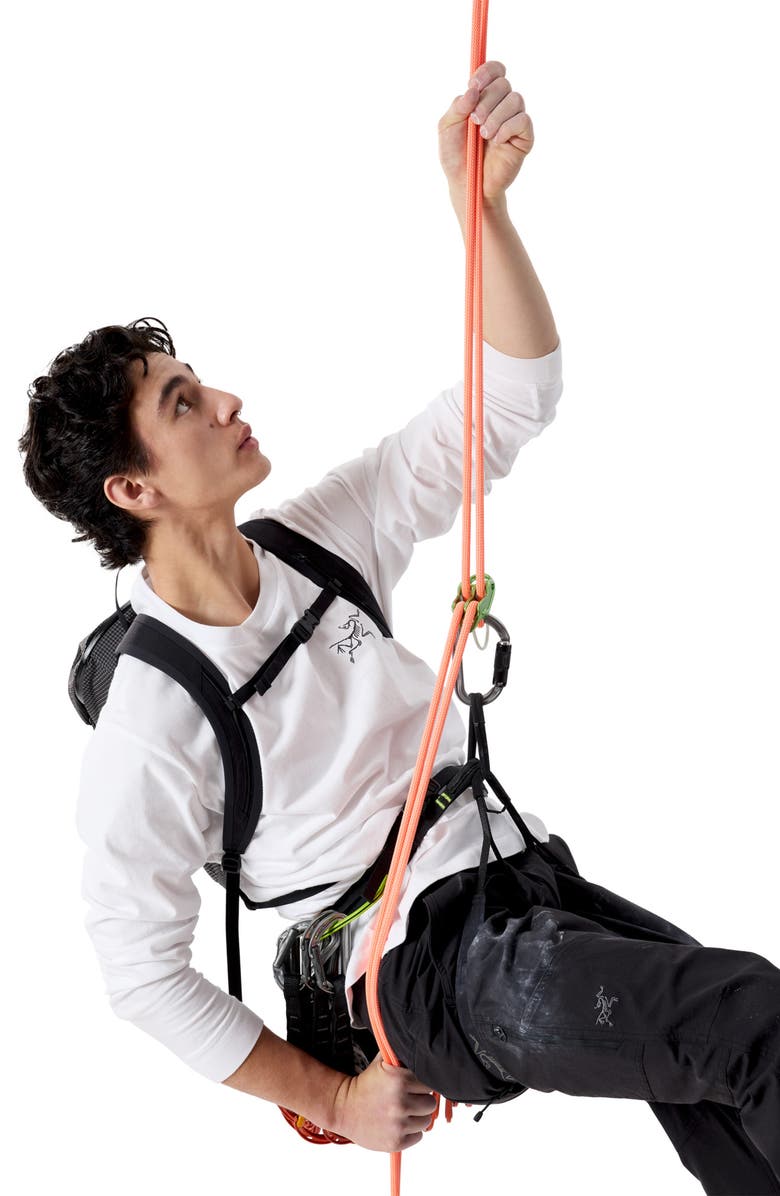 Arc'teryx Kragg Long Sleeve Cotton Graphic T-Shirt, Alternate, color, White Light/ Black