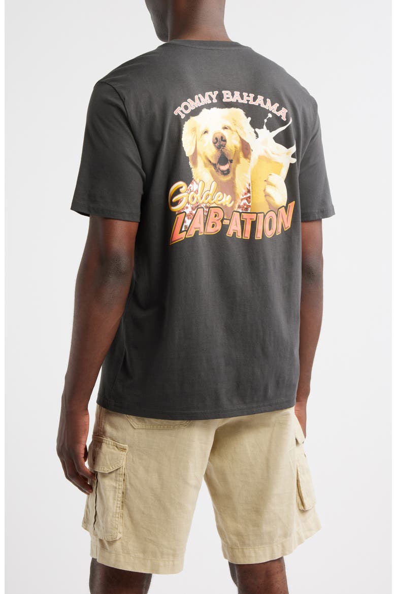 Golden Labation Graphic T-Shirt, Alternate, color, COAL