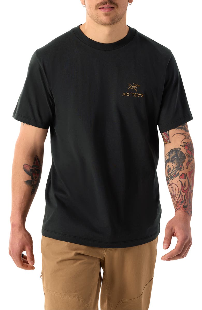 Arc'teryx Kragg Bird Worm Cotton Graphic T-Shirt, Main, color, 24K Black