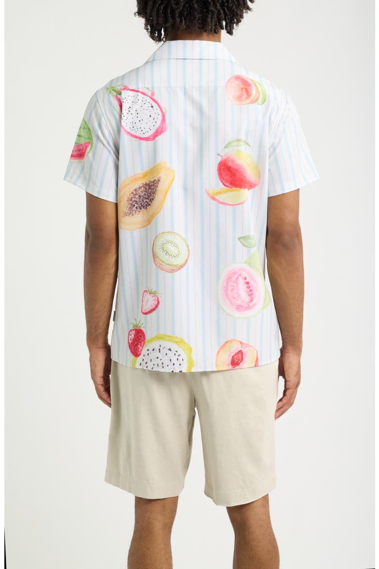 Freshly Picked Weekend Camp Shirt, Alternate, color, BLUE